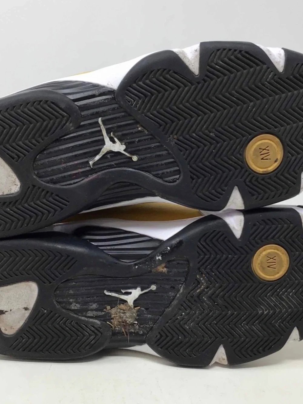 Jordan 14 gingers